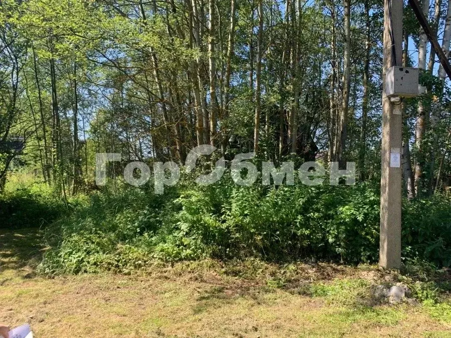 Участок в Московская область, Богородский городской округ, Нерудник ... - Фото 1