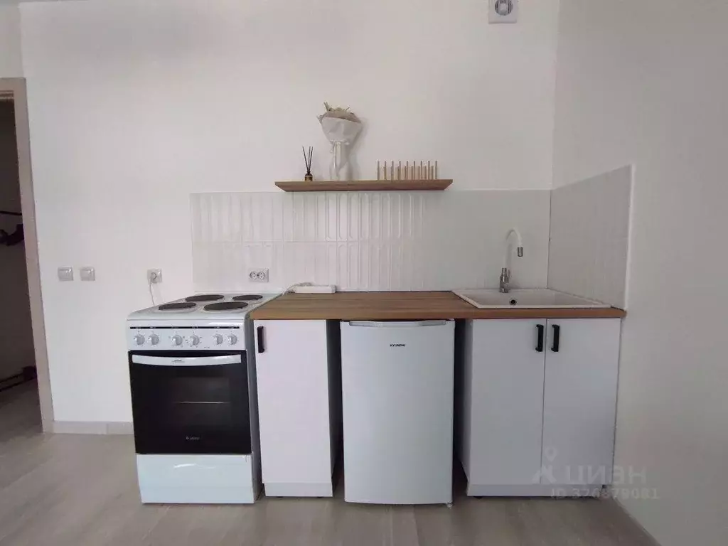 Студия Кировская область, Киров ул. Капитана Дорофеева, 16 (26.3 м) - Фото 2