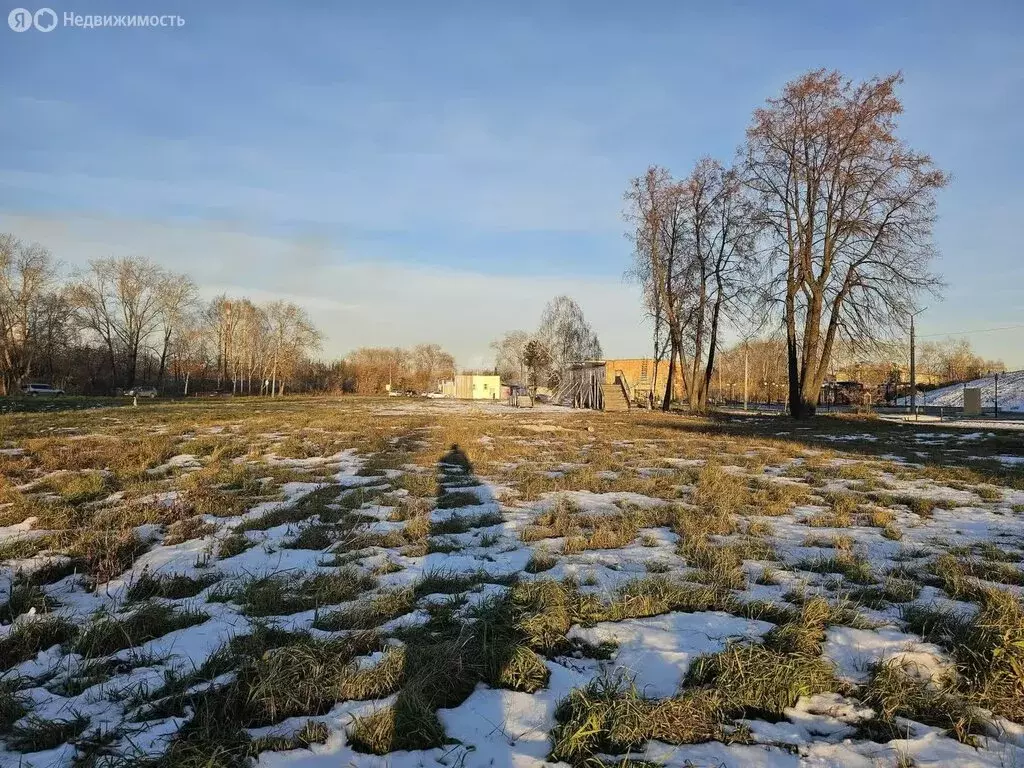 Участок в Алапаевск, улица Бочкарёва (30.9 м) - Фото 1