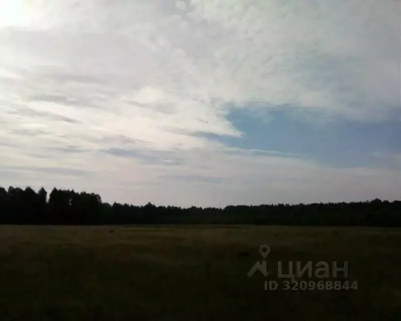 Участок в Смоленская область, Сафоновский муниципальный округ, ... - Фото 1