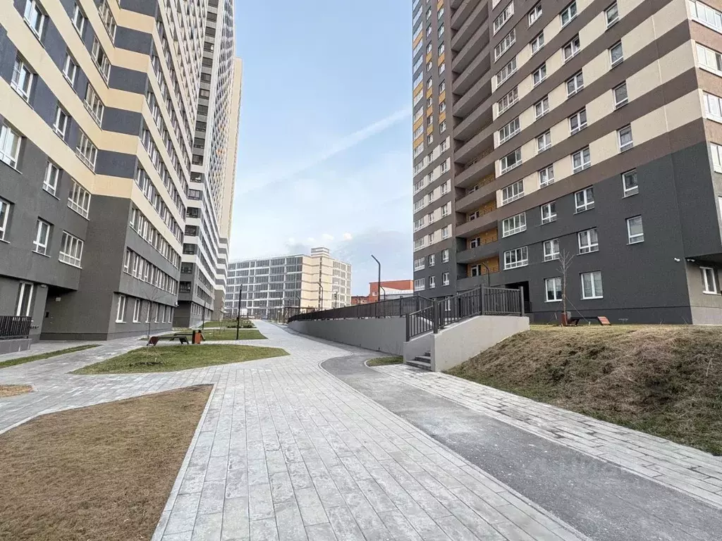 Студия Свердловская область, Екатеринбург ул. Новостроя, 9 (22.5 м) - Фото 2