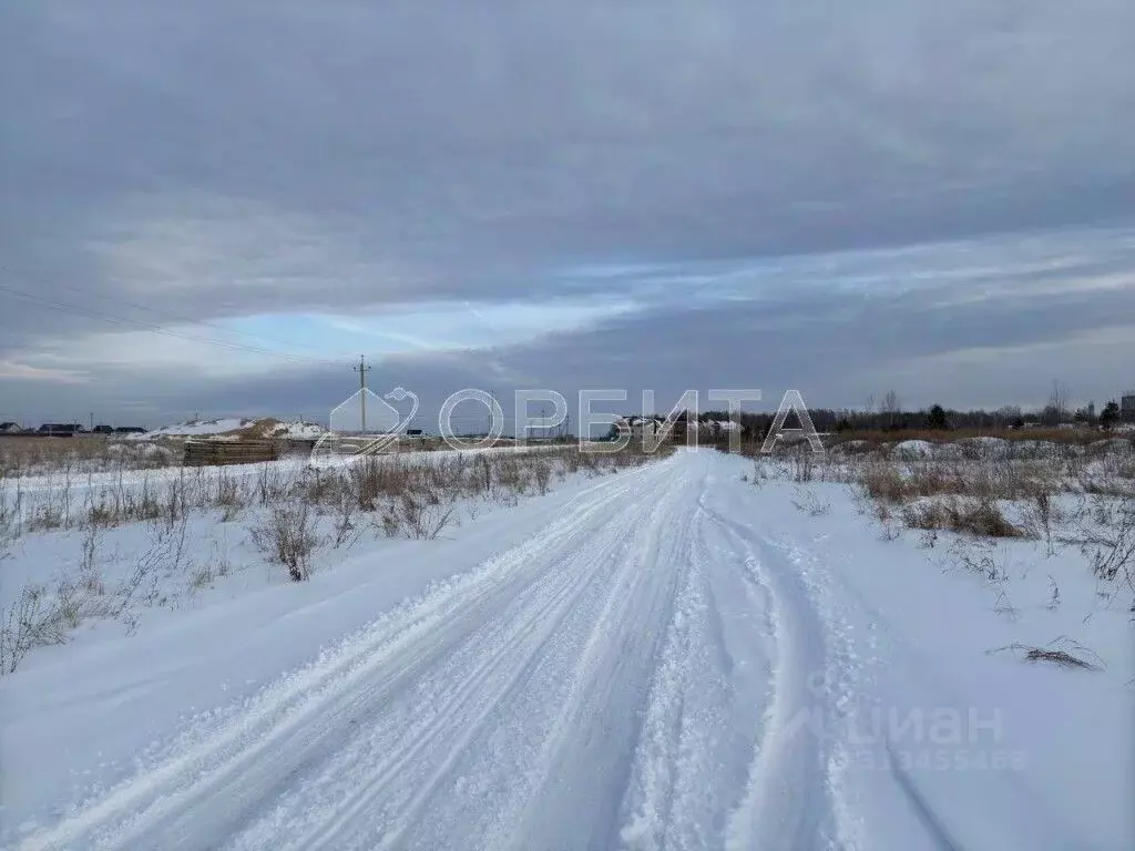 Участок в Тюменская область, Тюменский район, с. Горьковка Сибирская ... - Фото 1