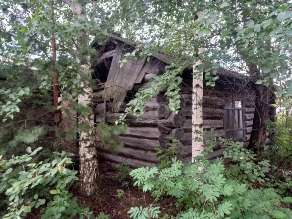 Участок, 5.9 сот., поселения (ижс) - Фото 1