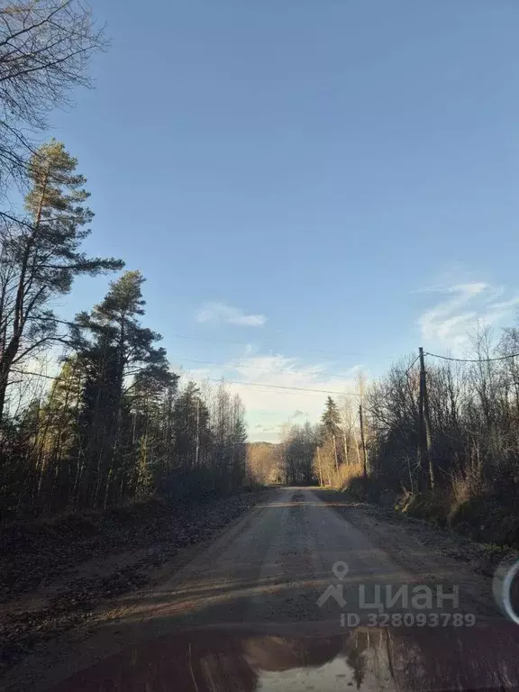 Участок в Ленинградская область, Выборгский район, Каменногорское ... - Фото 2