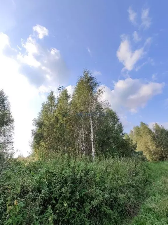 Участок в Нижегородская область, Нижний Новгород д. Сартаково, ул. ... - Фото 1