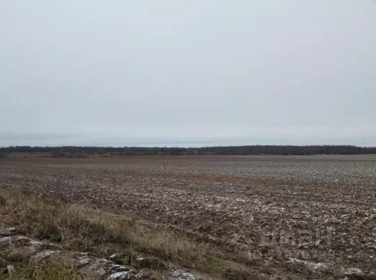 Участок в Московская область, Дмитровский муниципальный округ, д. ... - Фото 0