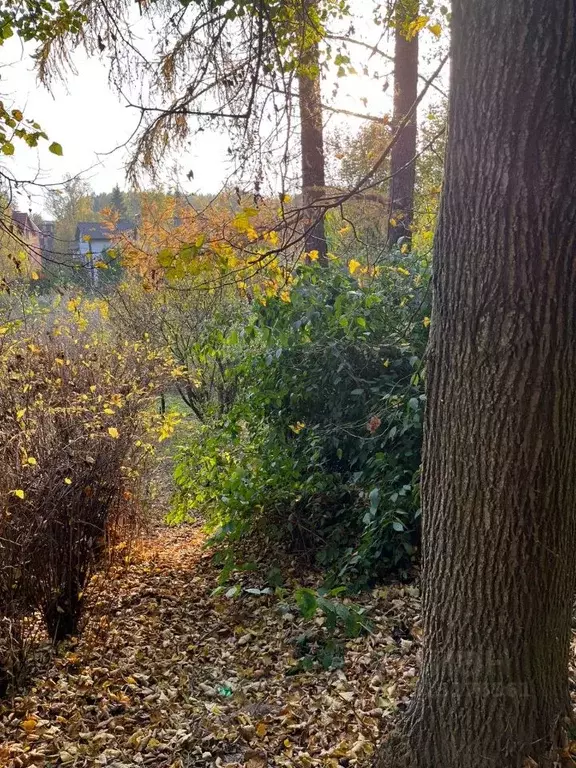 Участок в Московская область, Одинцовский городской округ, с. ... - Фото 2