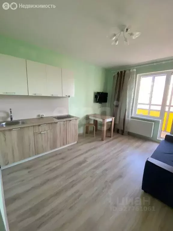 Квартира-студия: посёлок Шушары, Старорусский проспект, 13к1 (23.65 м) - Фото 1