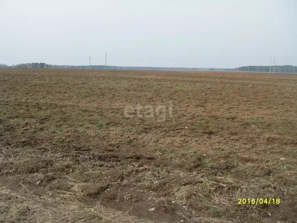 Участок в Свердловская область, Екатеринбург муниципальное ... - Фото 0