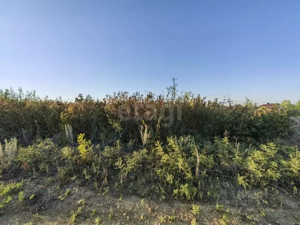 Участок в Ростовская область, Родионово-Несветайский район, ... - Фото 1