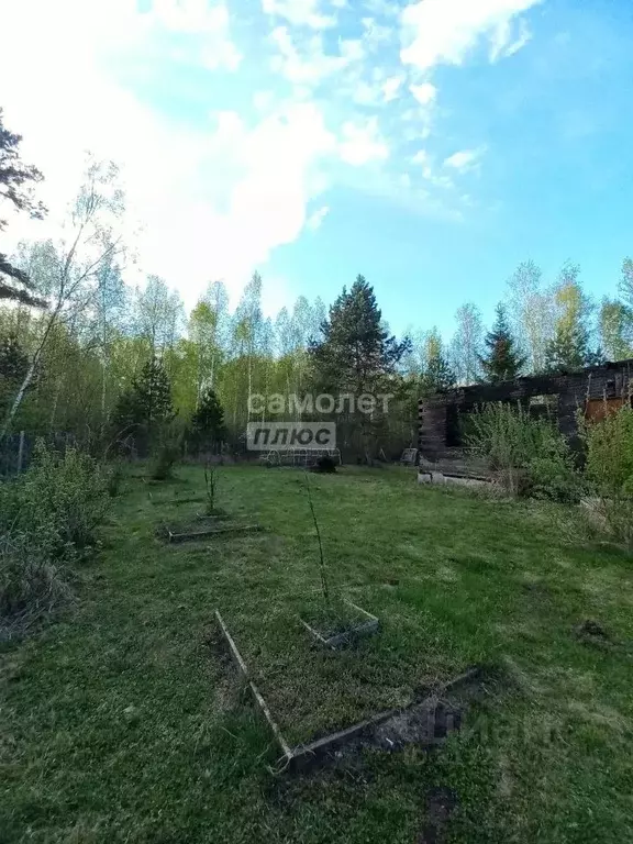 Участок в Московская область, Орехово-Зуевский городской округ, Марс ... - Фото 1