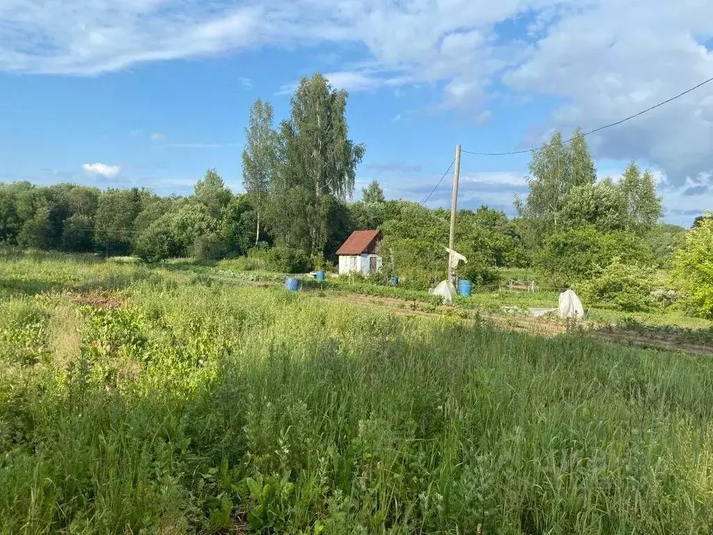 Участок в Ленинградская область, Лужский район, Володарское с/пос, ... - Фото 1