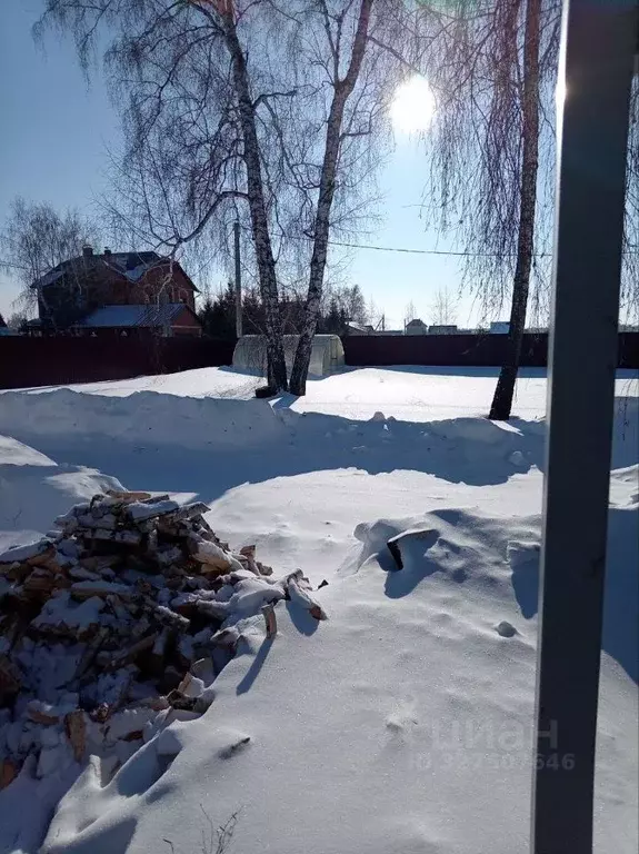 Участок в Новосибирская область, Новосибирский район, с. Боровое ул. ... - Фото 1