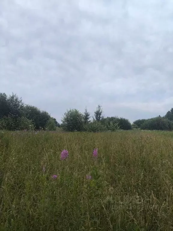 Участок в Пермский край, Пермь пос. Голованово, ул. Молодежная (5.99 ... - Фото 1