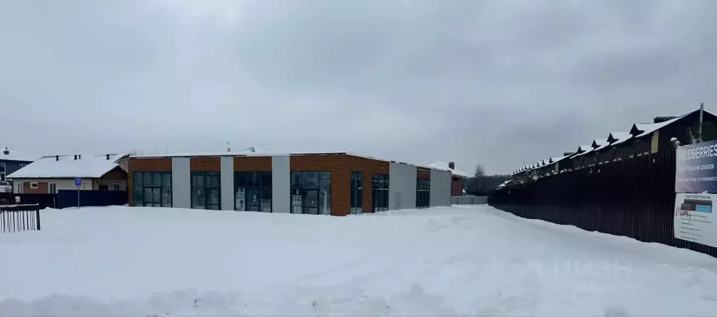 Торговая площадь в Московская область, Домодедово городской округ, д. ... - Фото 2