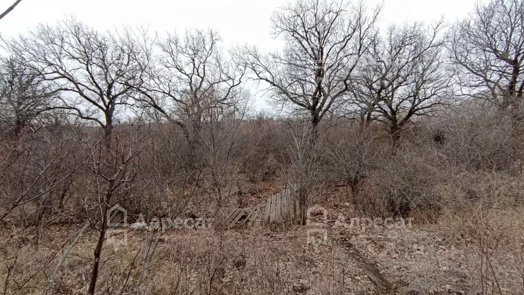 Дом в Волгоградская область, Волгоград Кировец СНТ,  (30 м) - Фото 2
