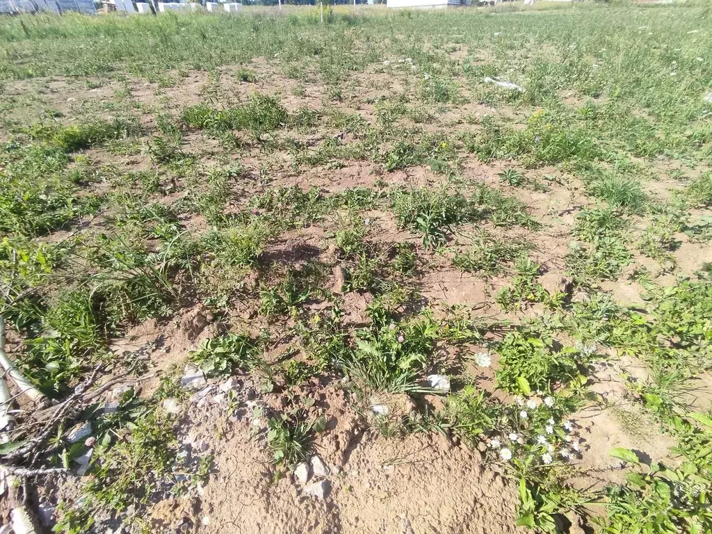 Участок в Калужская область, Калуга Московский кп, ул. Героя России ... - Фото 2