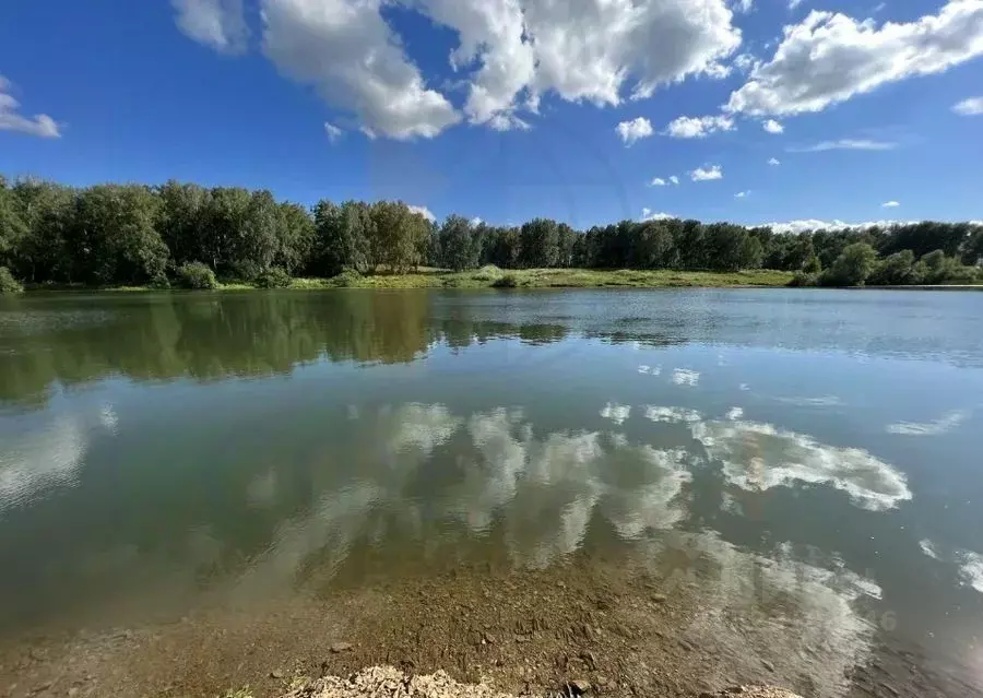 Участок в Новосибирская область, Новосибирский район, Березовский ... - Фото 1