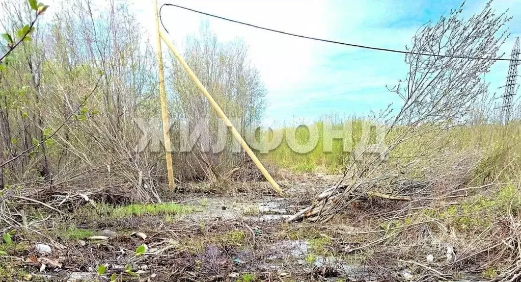 Участок в Архангельская область, Архангельск Южная Маймакса мкр, ул. ... - Фото 1