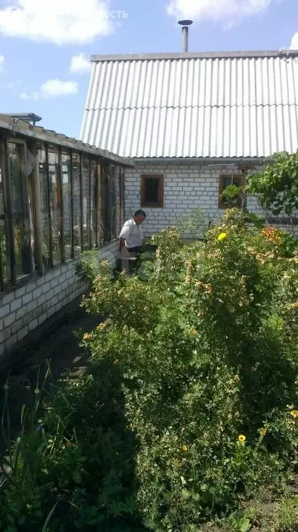 Дом в Курган, садоводческое некоммерческое товарищество Надежда (54 м) - Фото 0