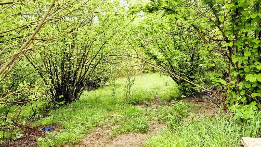 Участок в Краснодарский край, Сочи городской округ, с. Хлебороб ул. ... - Фото 0