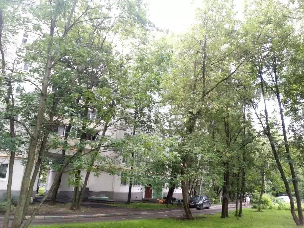 Свободной планировки кв. Москва ш. Энтузиастов, 94К2 (43.8 м) - Фото 2