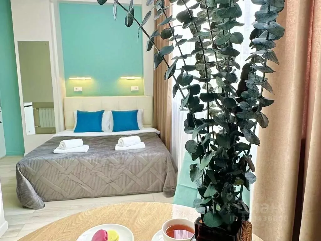 1-к кв. Приморский край, Владивосток Посьетская ул., 9 (17.0 м) - Фото 1