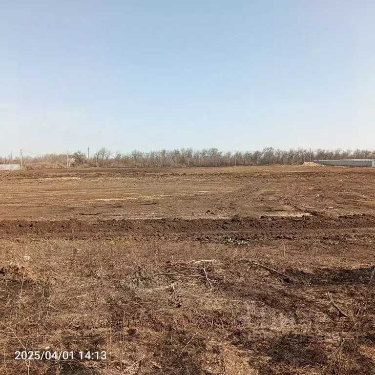 Участок в Оренбургская область, Оренбургский район, пос. Весенний ул. ... - Фото 0