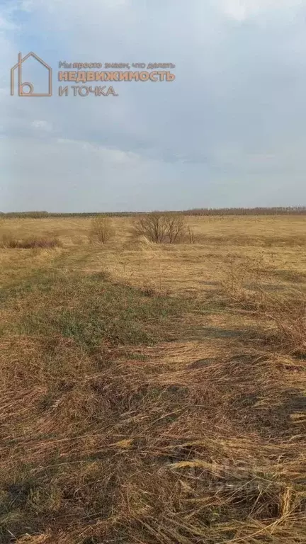 Участок в Башкортостан, Краснокамский район, Кариевский сельсовет, ... - Фото 1