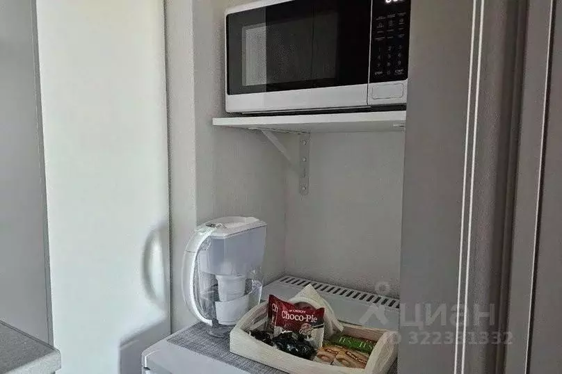 1-к кв. Нижегородская область, Нижний Новгород 2-я Оранжерейная ул., ... - Фото 2