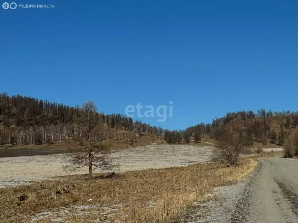 Участок в Шебалинский район, село Шебалино (1070 м) - Фото 0