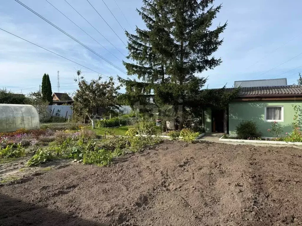 Дом в Калининградская область, Янтарный пгт, Садовник СНТ ул. Зеленая, ... - Фото 1