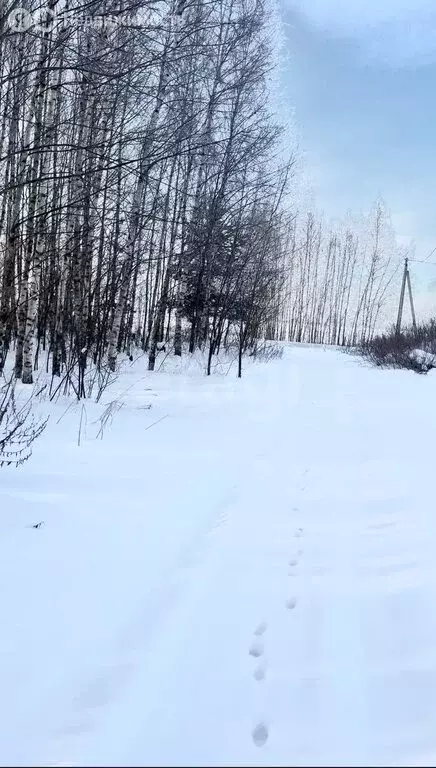 Участок в Нижегородская область, муниципальный округ Сокольский, ... - Фото 2
