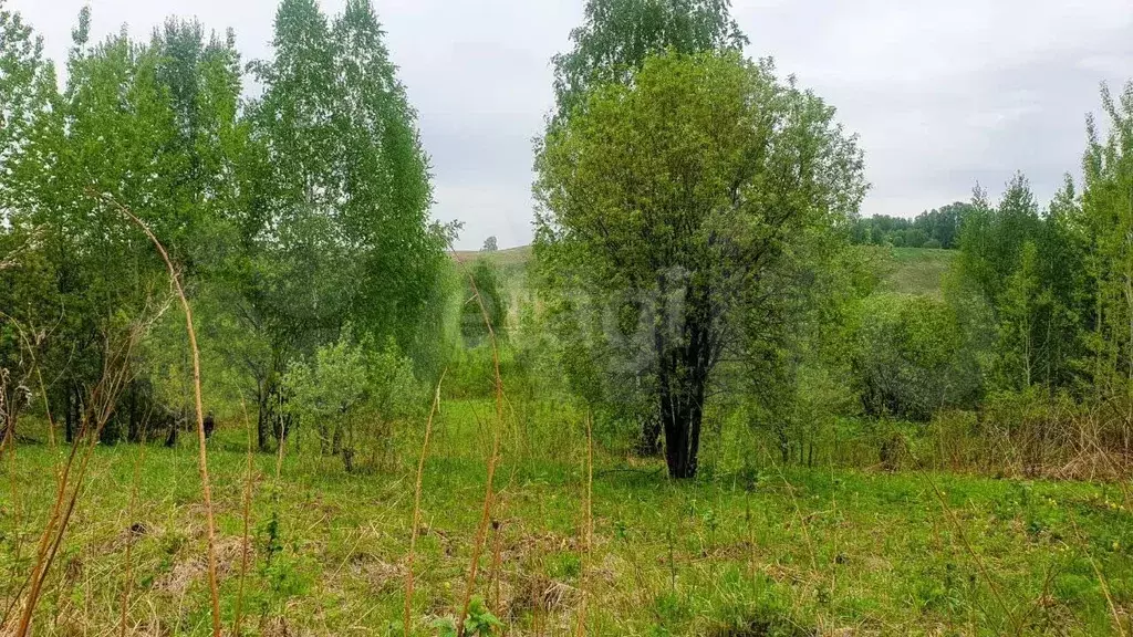 Участок 6 сот. (СНТ, ДНП) - Фото 0