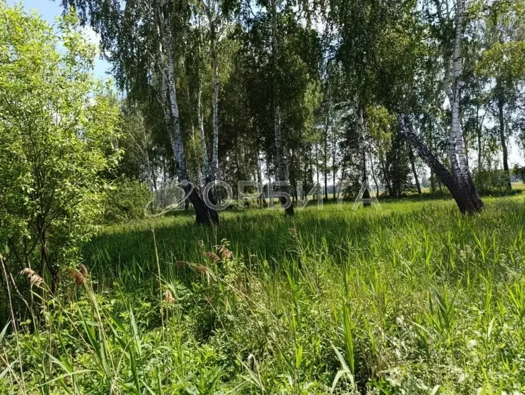 Участок в Тюменская область, Тюменский район, с. Каменка  (12.7 сот.) - Фото 0