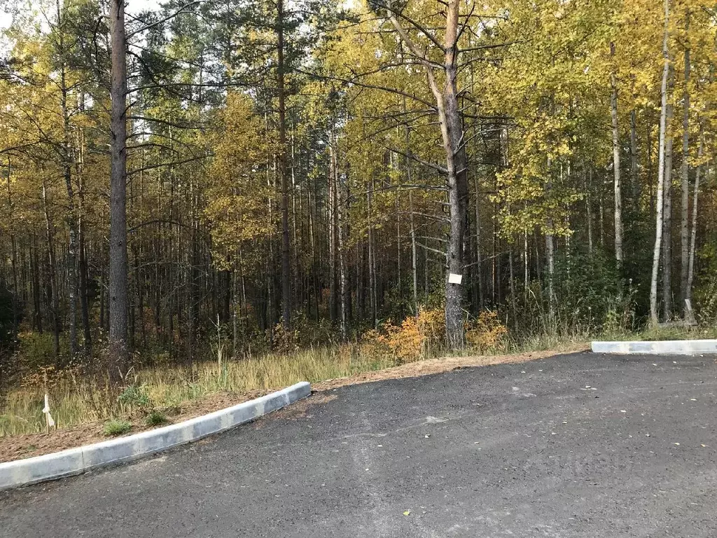 Участок в Ленинградская область, Приозерский район, Раздольевское ... - Фото 1