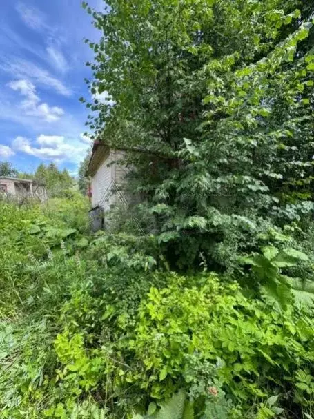 Дом 90 м на участке 8 сот. - Фото 1