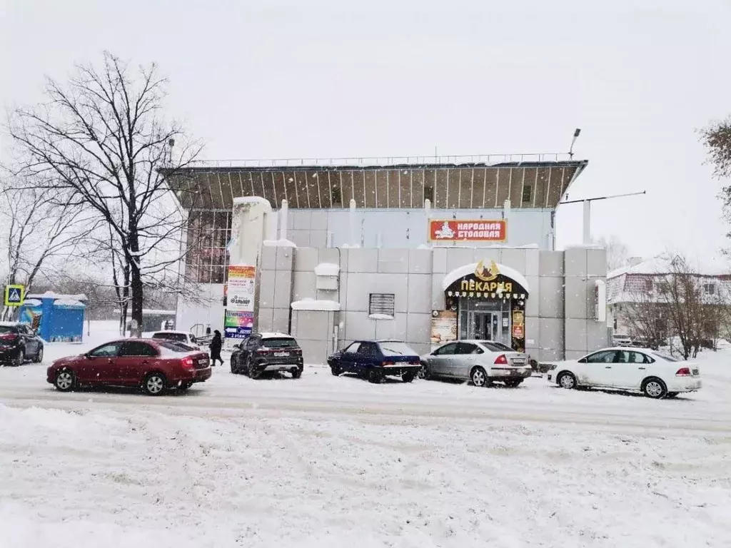 Помещение свободного назначения в Татарстан, Набережные Челны пос. ... - Фото 0