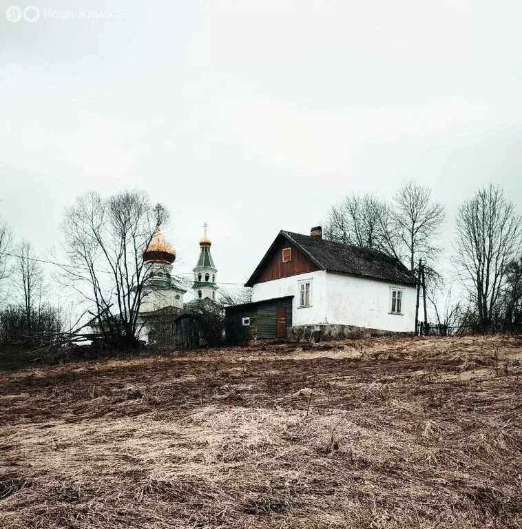 Дом в Старорусский район, Ивановское сельское поселение, деревня ... - Фото 2