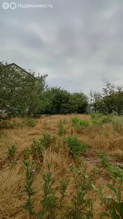 Дом в Ростовская область, Новочеркасск (26 м) - Фото 1