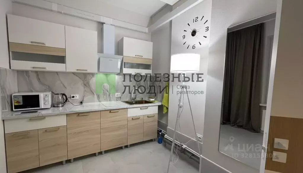 Студия Краснодарский край, Геленджик ул. Толстого, 51 (27.0 м) - Фото 2