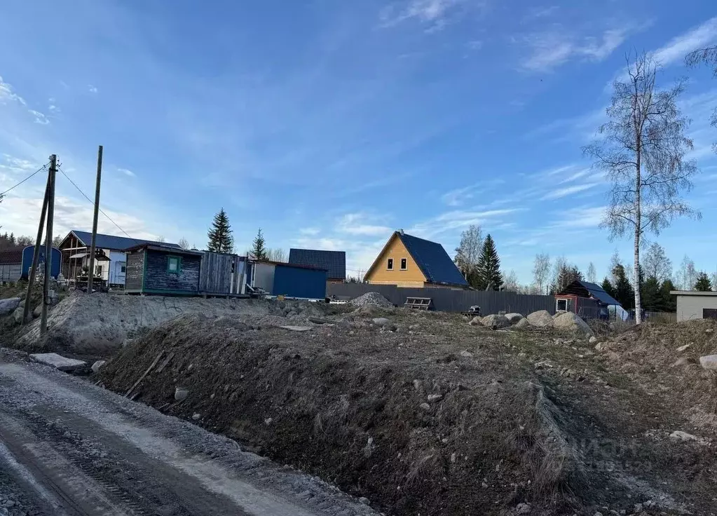 Участок в Ленинградская область, Приозерский район, Ромашкинское ... - Фото 1