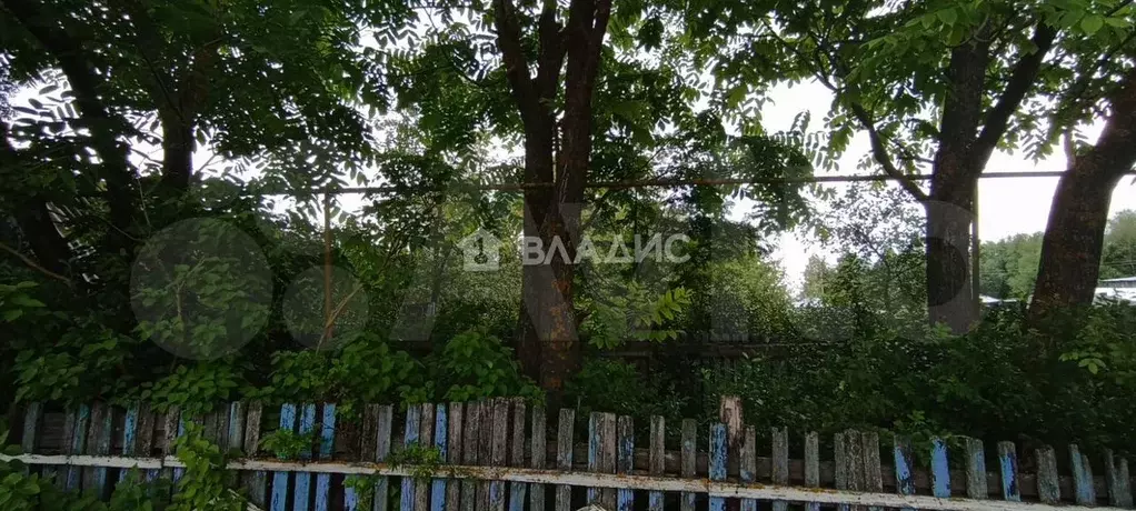 Дом 52 м на участке 26 сот. - Фото 1