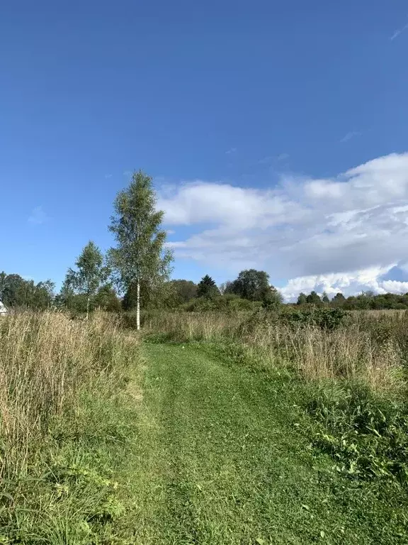 Участок в Ленинградская область, Волосовский район, Рабитицкое с/пос, ... - Фото 2