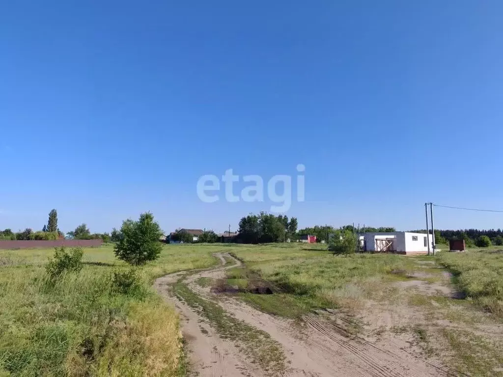 Участок в Воронежская область, Борисоглебский городской округ, с. ... - Фото 1