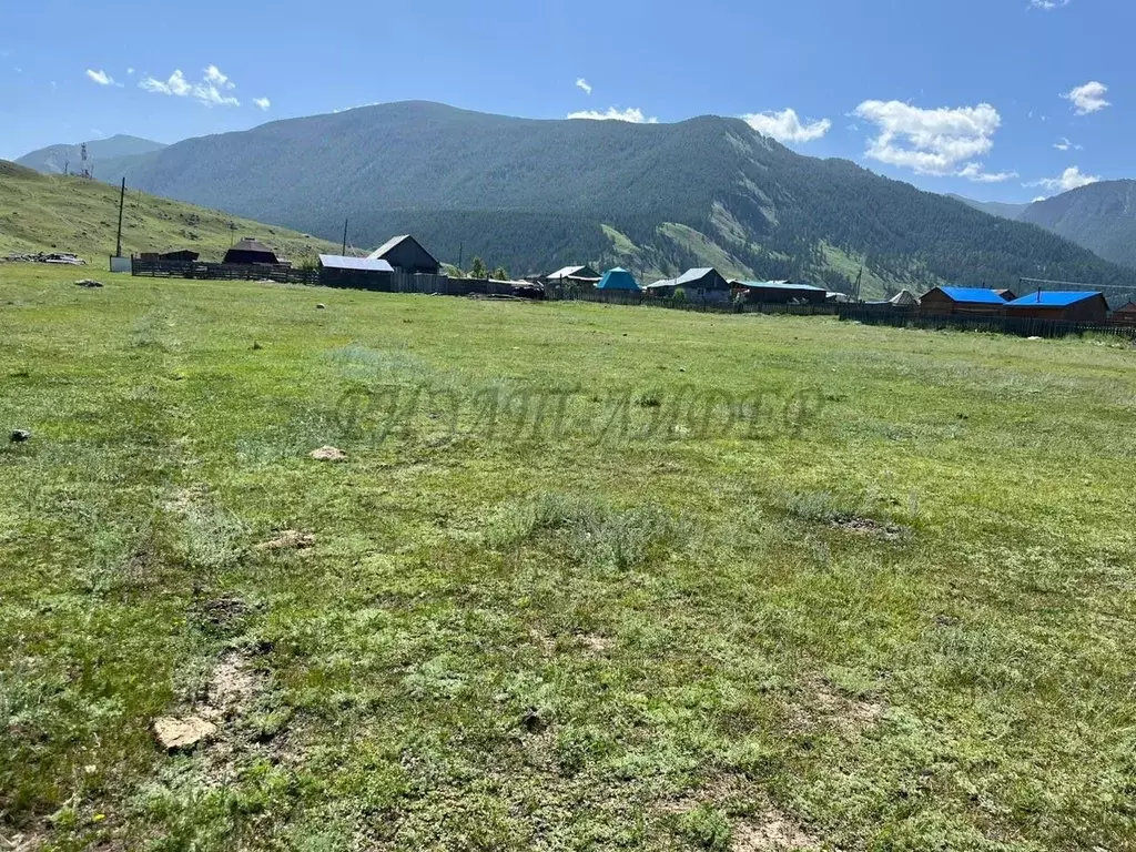 Участок в Алтай, Улаганский район, с. Чибит Молодежная ул., 29А (12.0 ... - Фото 1