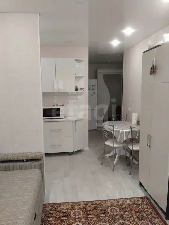 Студия Липецкая область, Липецк ул. И.В. Свиридова, 10 (26.6 м) - Фото 1