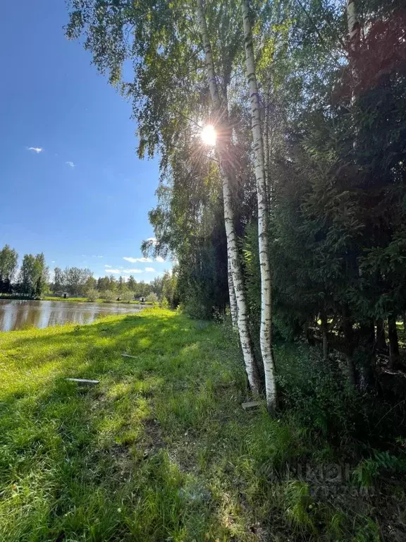 Участок в Московская область, Клин городской округ, Альпийские Луга ... - Фото 0