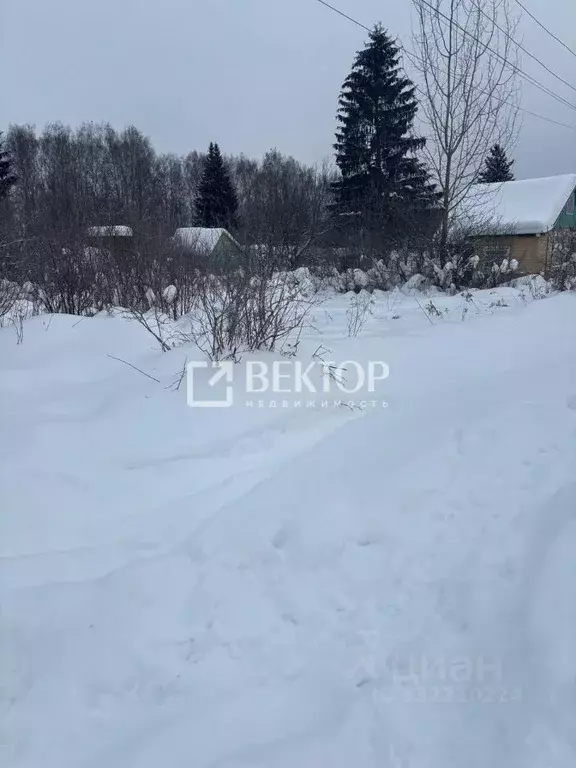 Участок в Костромская область, Кострома Дубки садоводческое ... - Фото 1