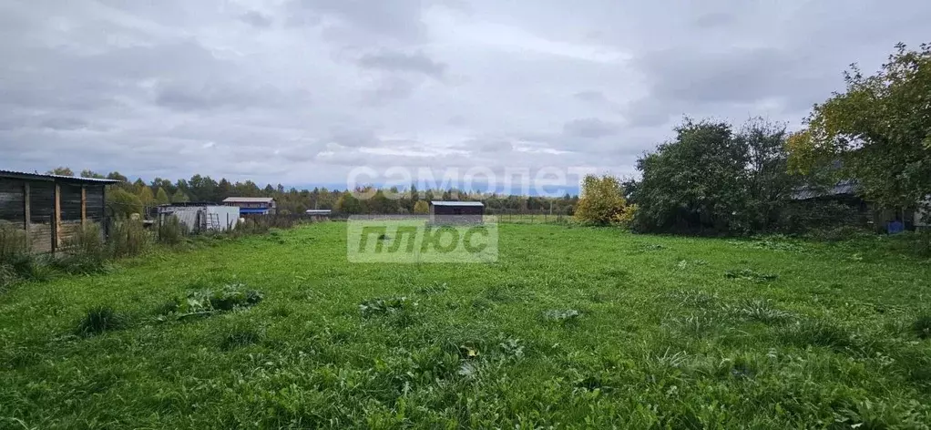 Участок в Московская область, Рузский муниципальный округ, д. ... - Фото 1
